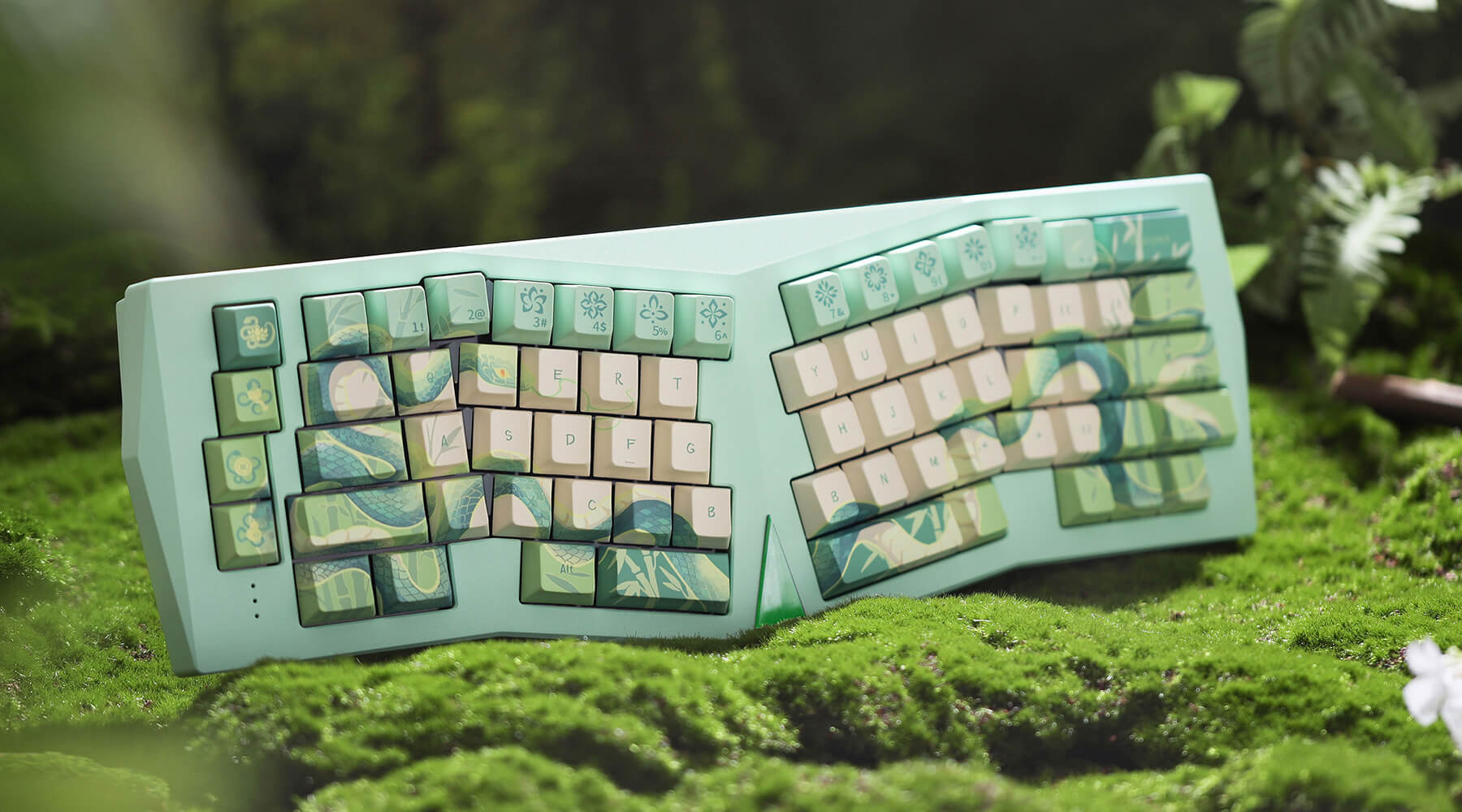 인체 공학 키보드 완벽 가이드