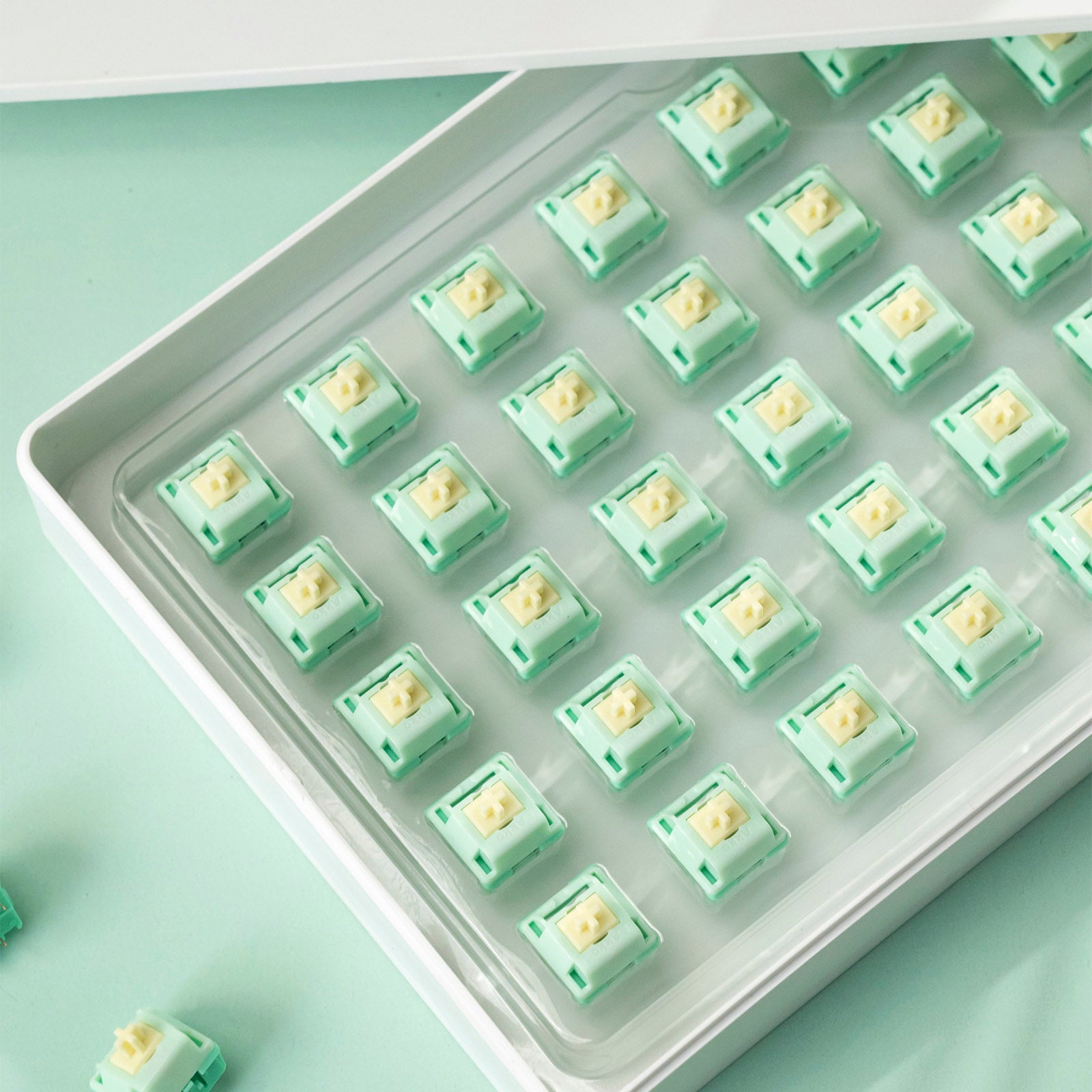 Akko_Botany_switches