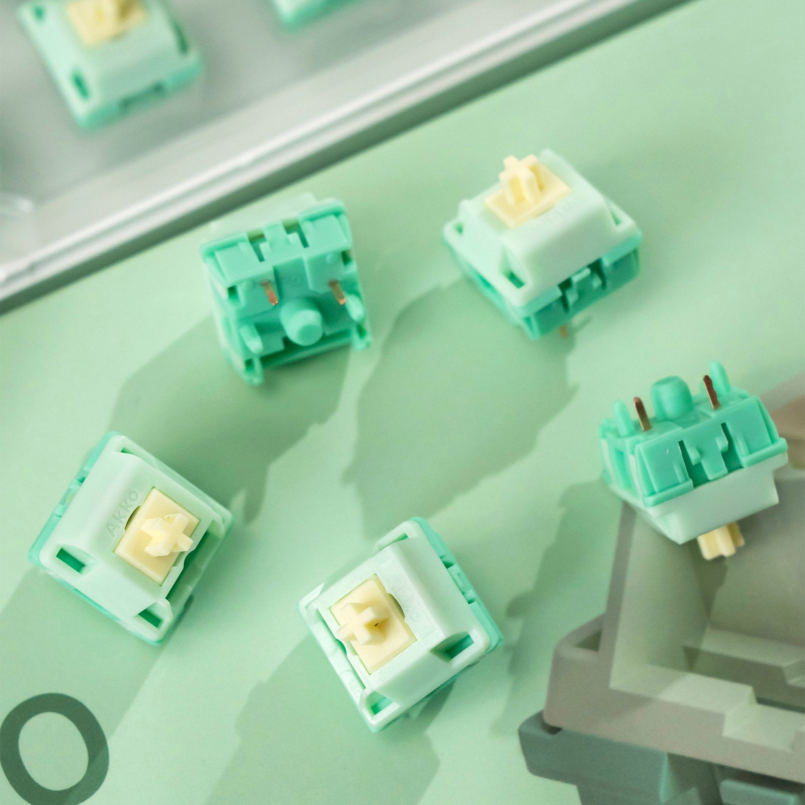 Akko_Botany_switches