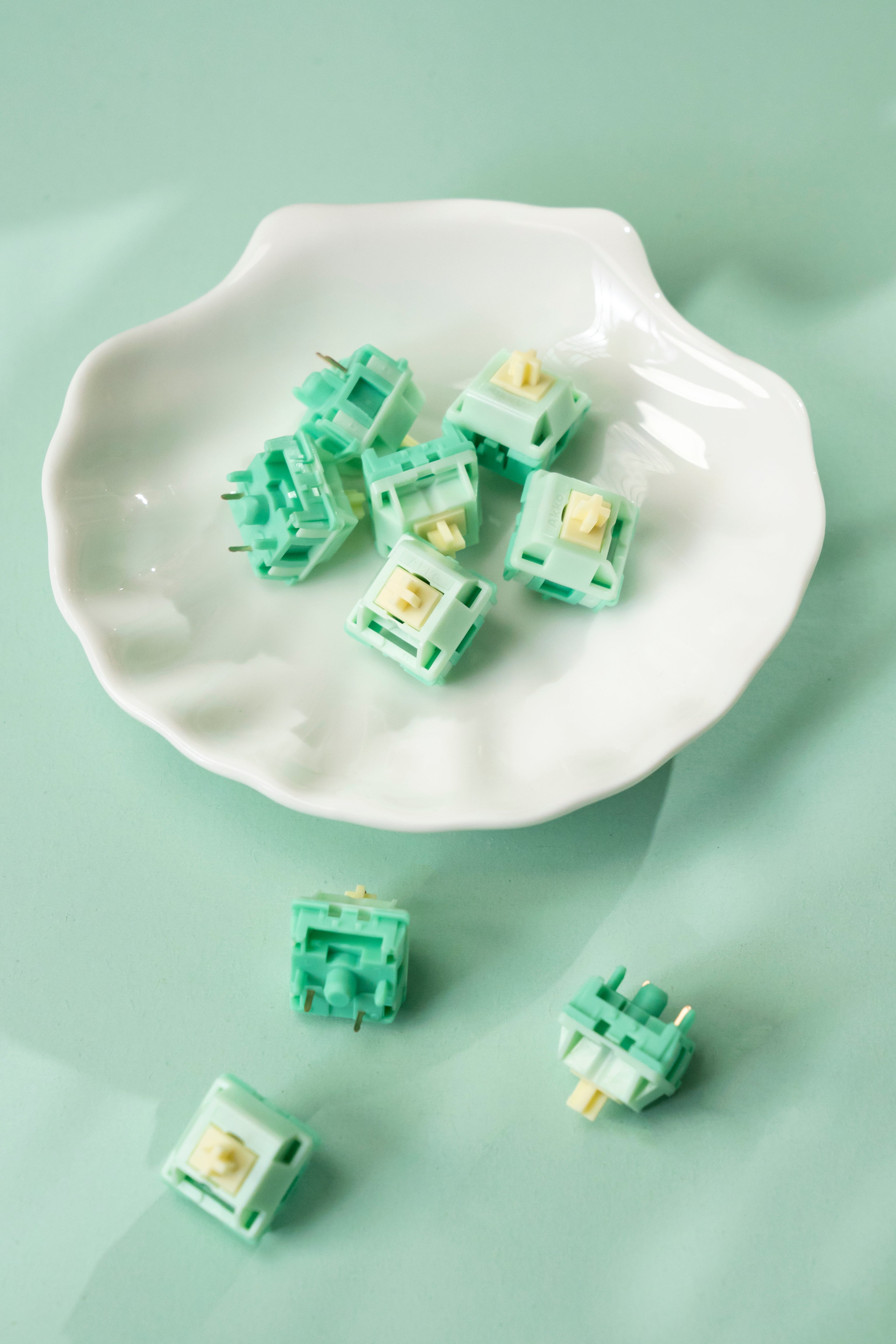 Akko_Botany_switches