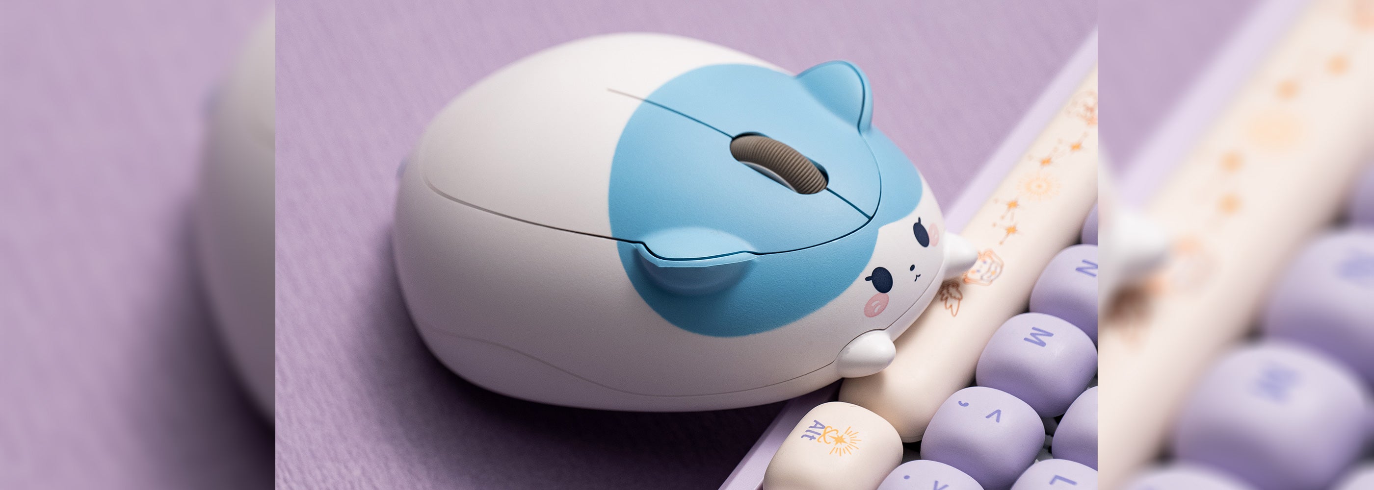 Akko-Blue-and-White-Cat-Mouse