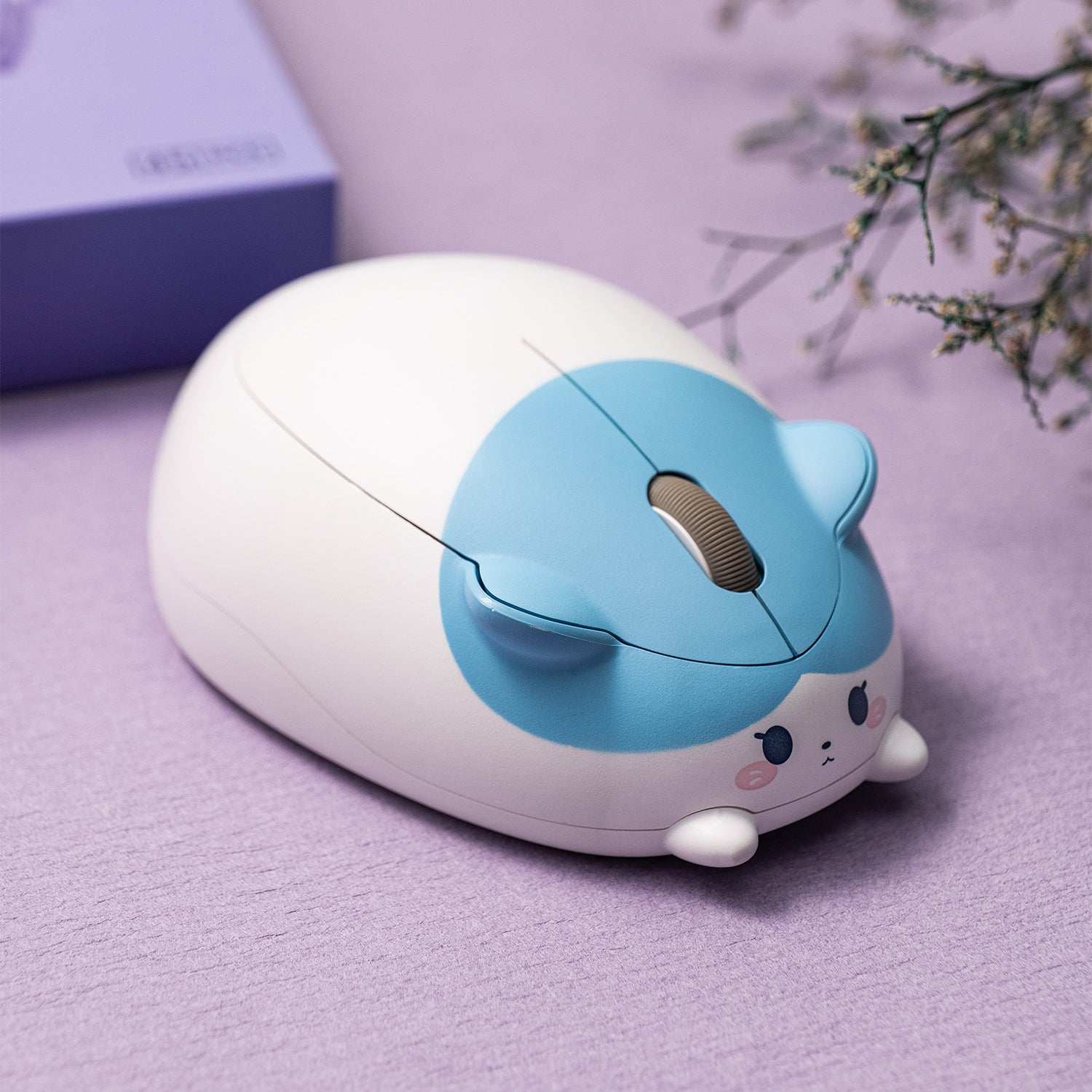 Akko-Blue-and-White-Cat-Mouse