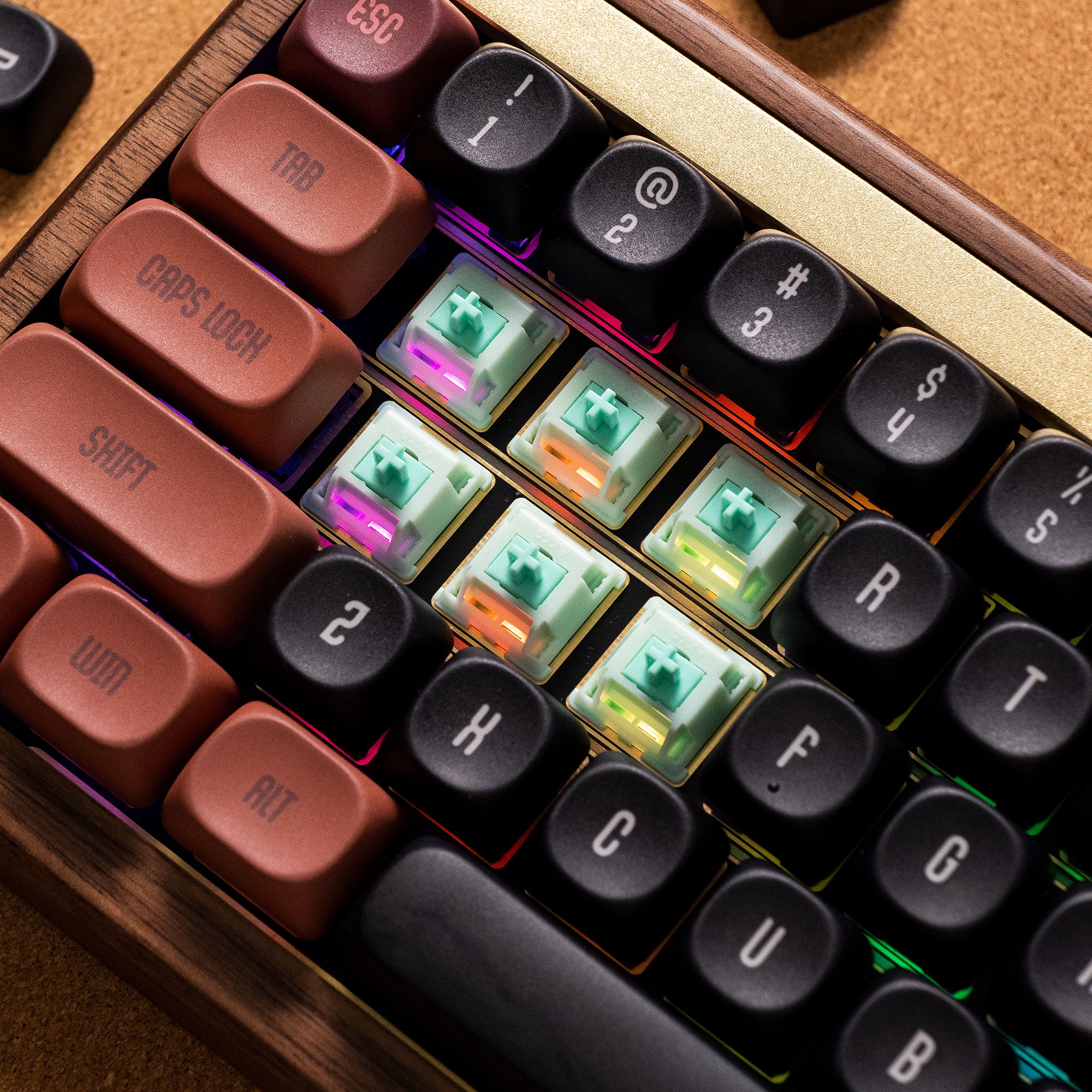 Akko-Botany-Switch-Scenes