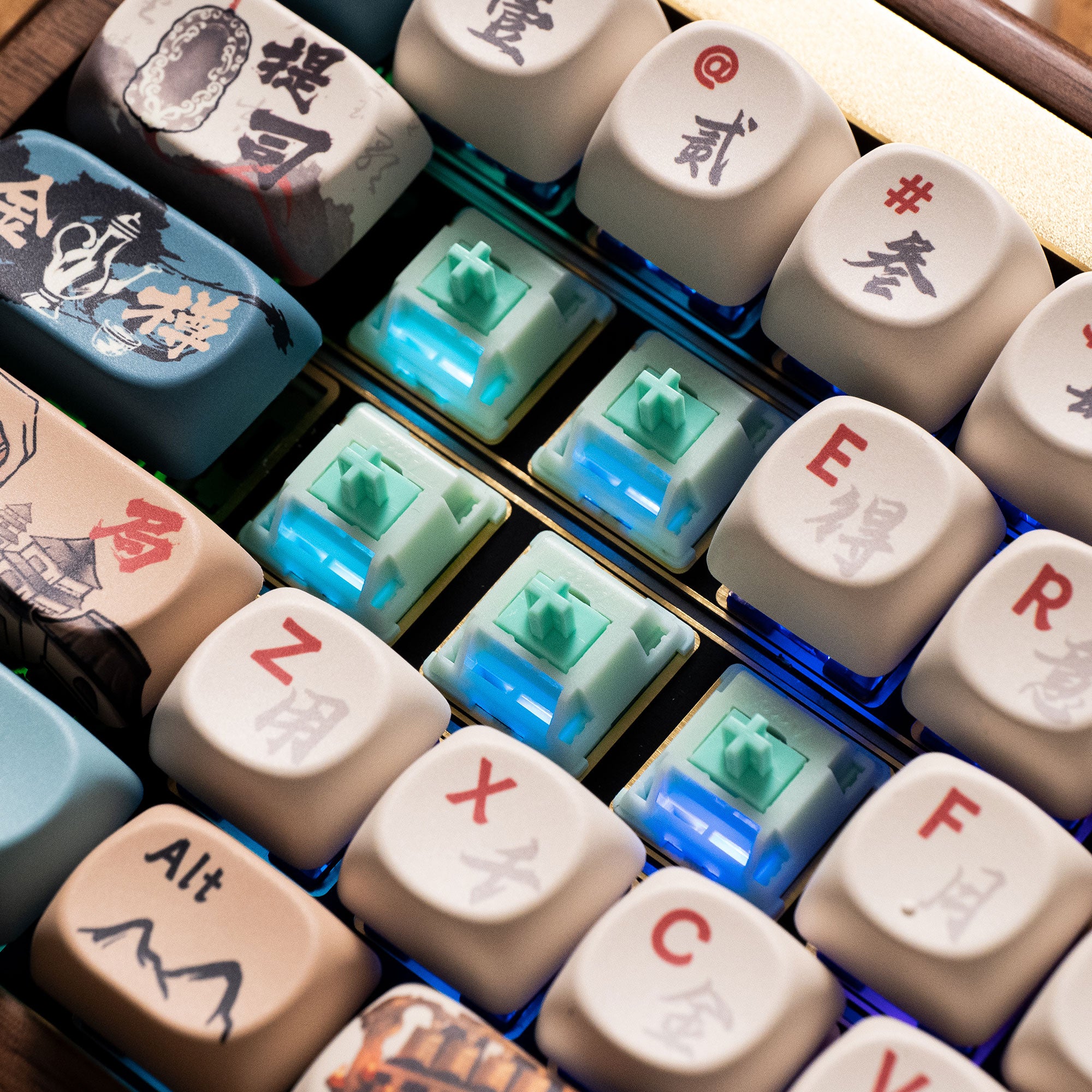 Akko-Botany-Switch-Scenes