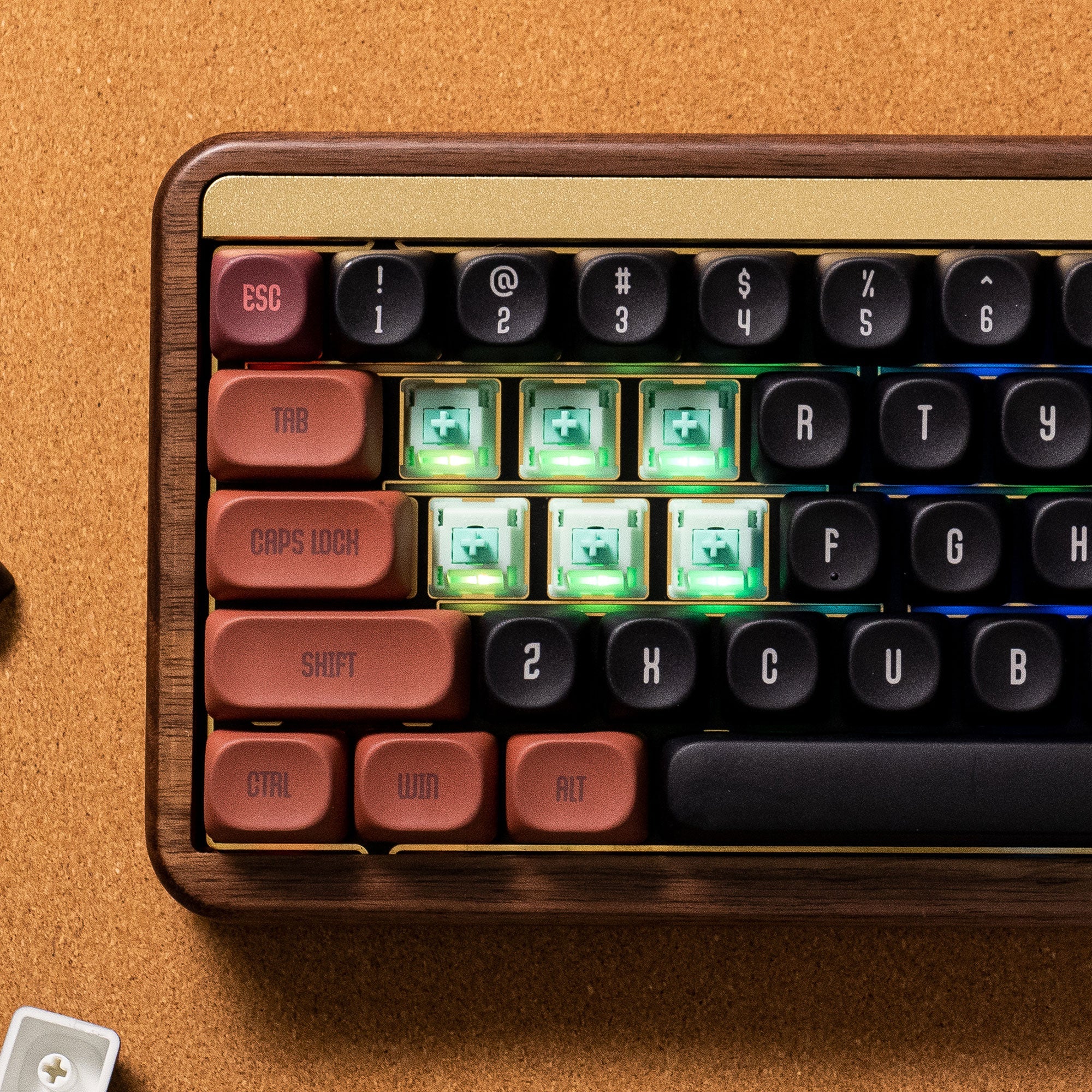 Botany Switch (Linear, Lubed)