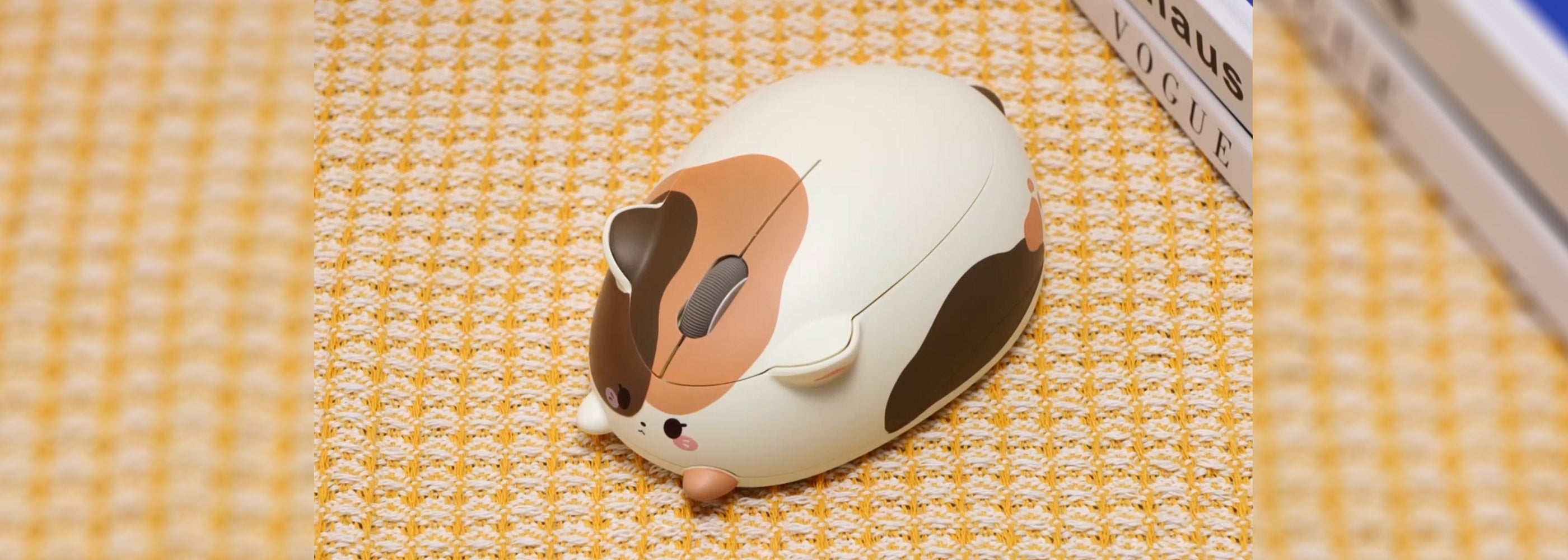 Akko-Calico-Cat-Mouse