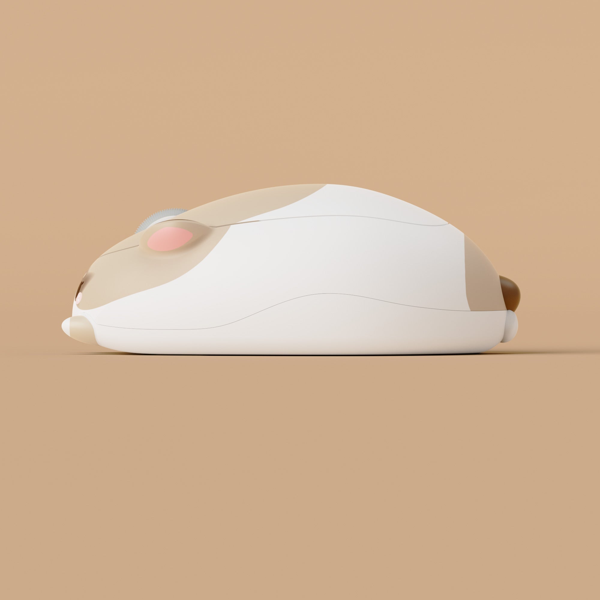 래그돌 고양이 마우스