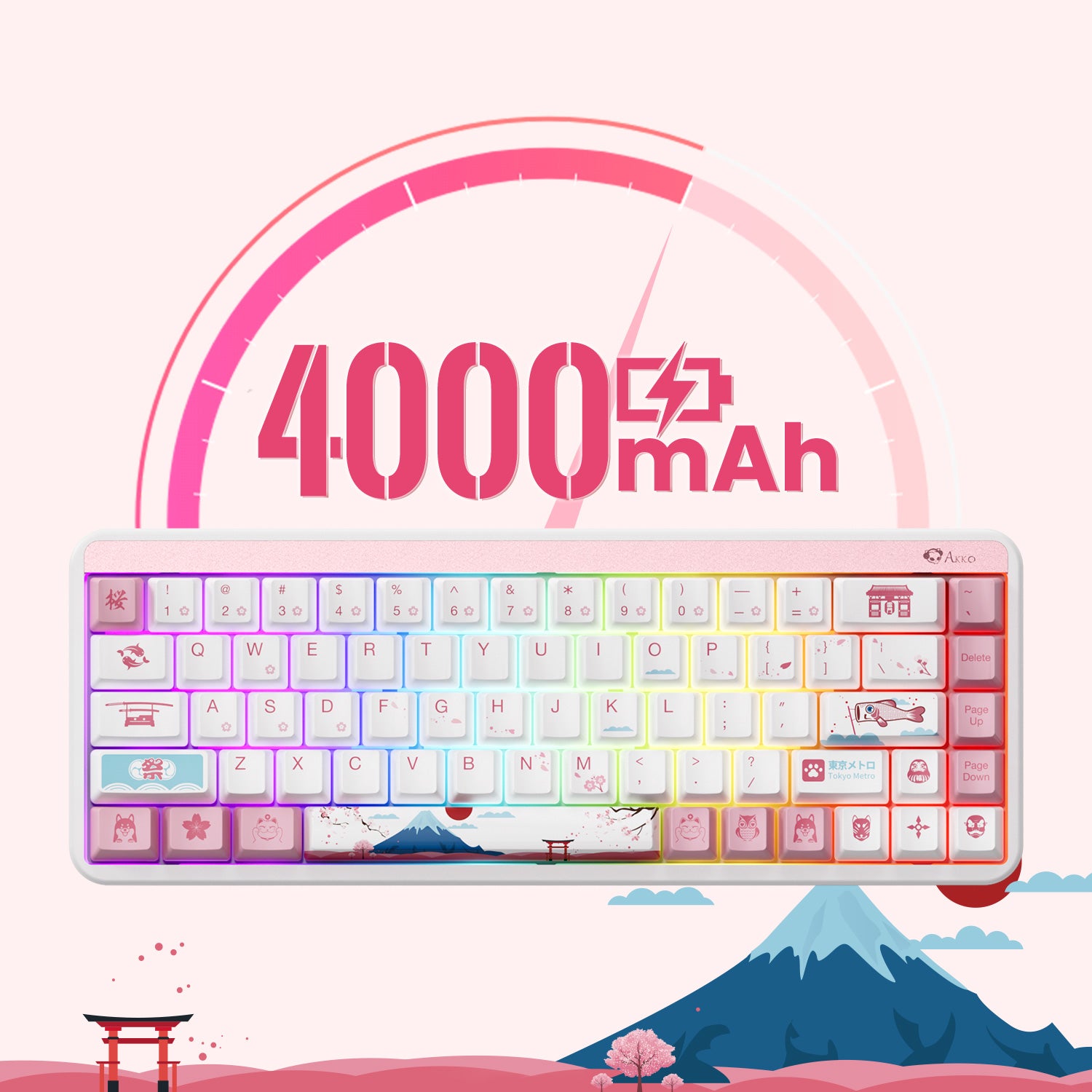 Akko-JIN01-Tokyo-Detail-1500-1500-mAh