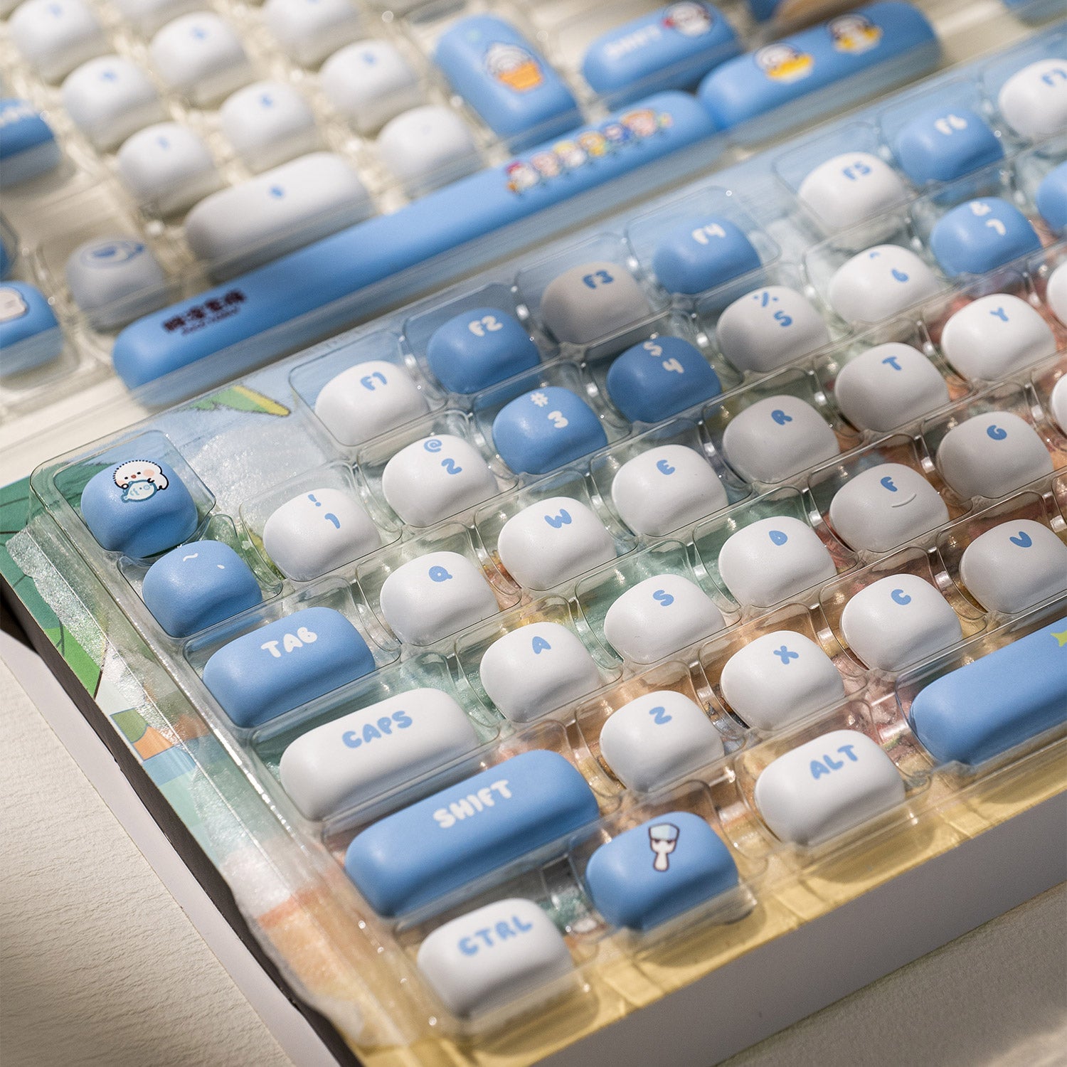 POCO Family POCO Seal Keycap Set Details