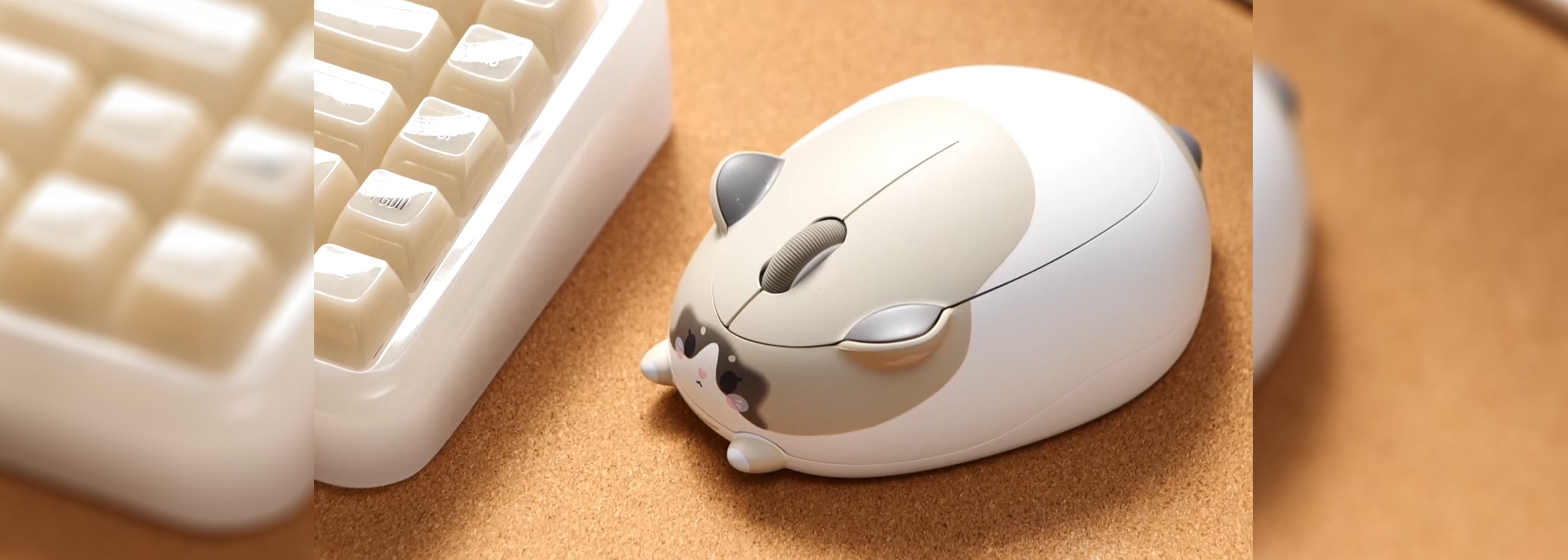 Akko-Ragdoll-Cat-Mouse