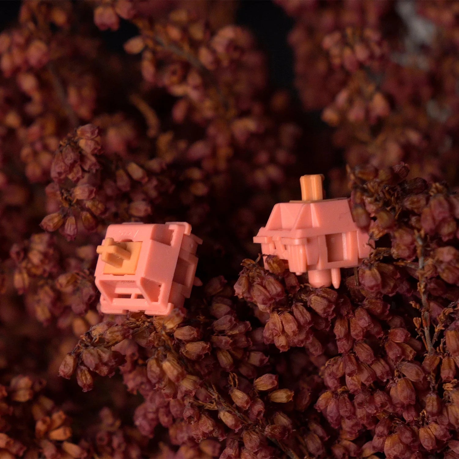 Akko-Rosewood-Switch