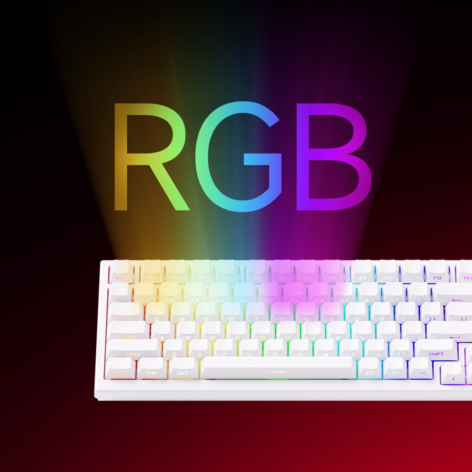 Akko TAC75 Shine Through White RGB
