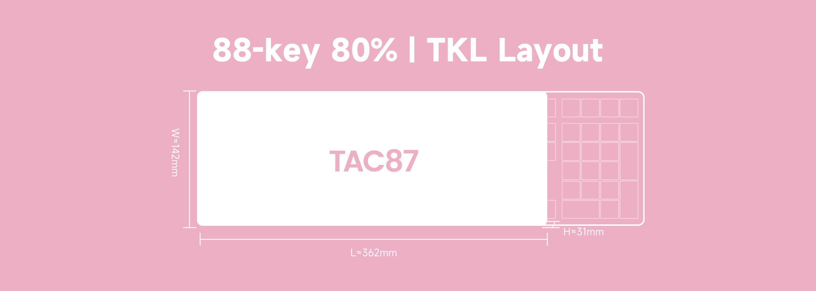 Akko-TAC87-Prunus-Lannesiana-Size