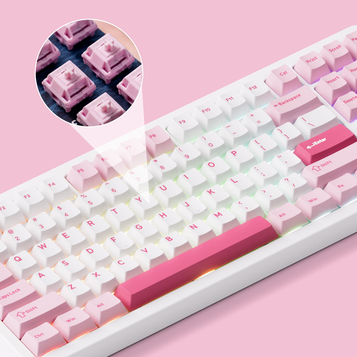 Akko-TAC87-Prunus-Lannesiana-Switches