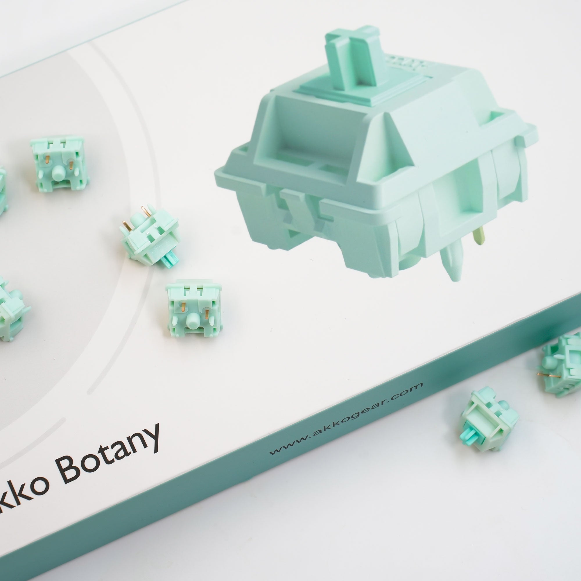 Akko_Botany_switches