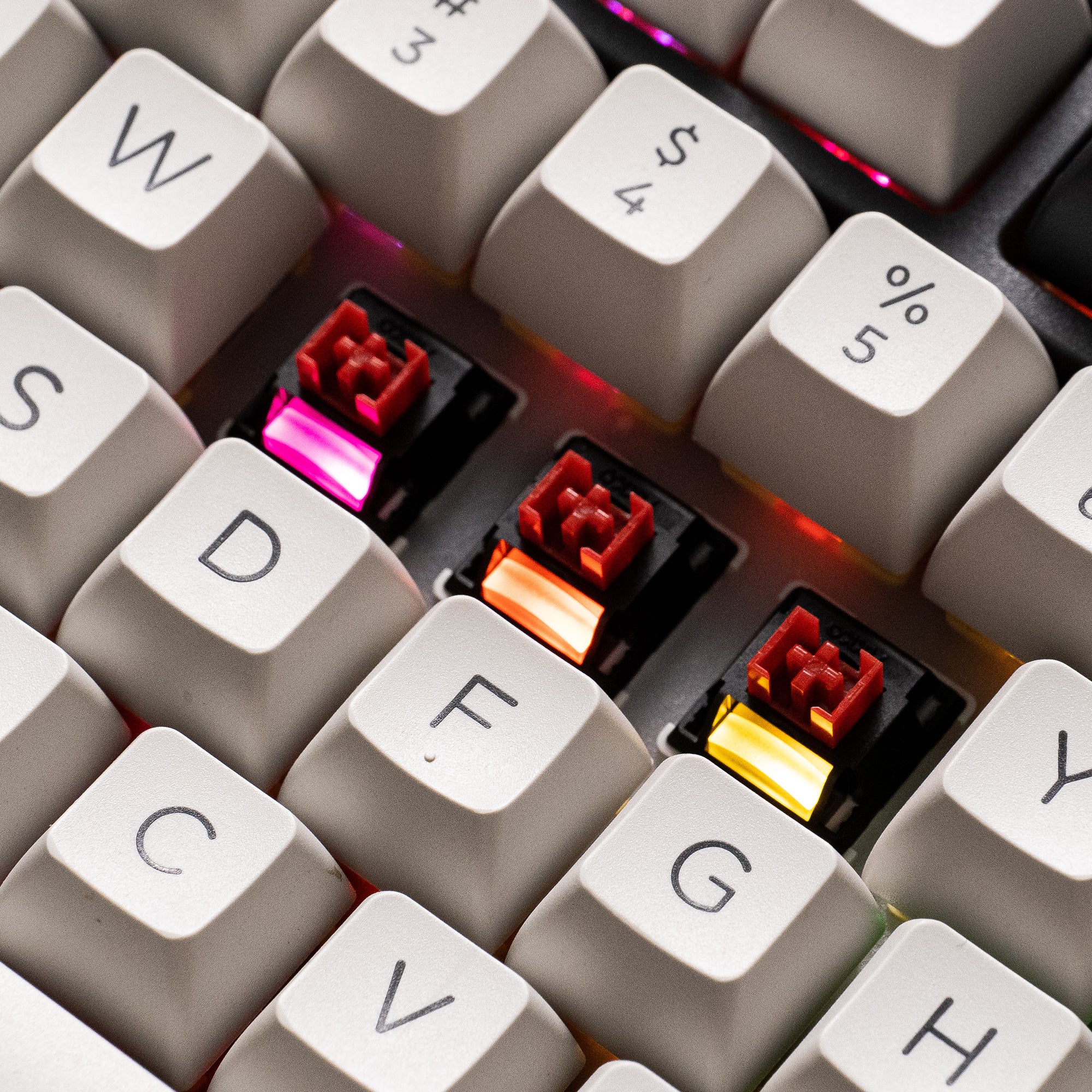 Akko_dracula_switches