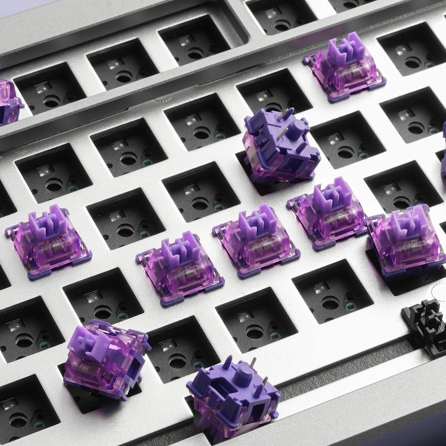 V3-Lavender-Purple-Pro