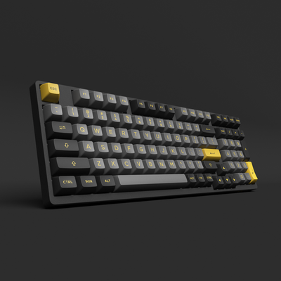 Black & Gold 3098B Plus