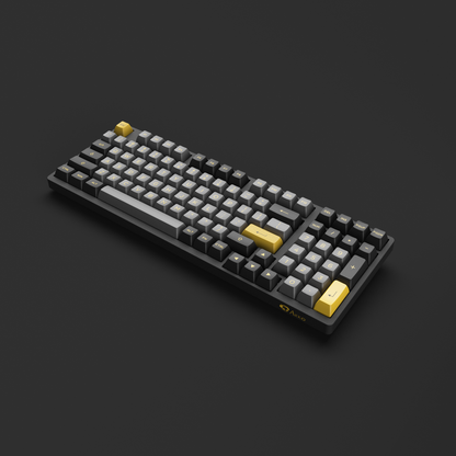 Black & Gold 3098B Plus