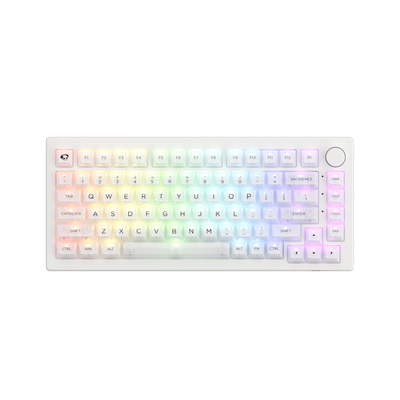 #색상_White Clear