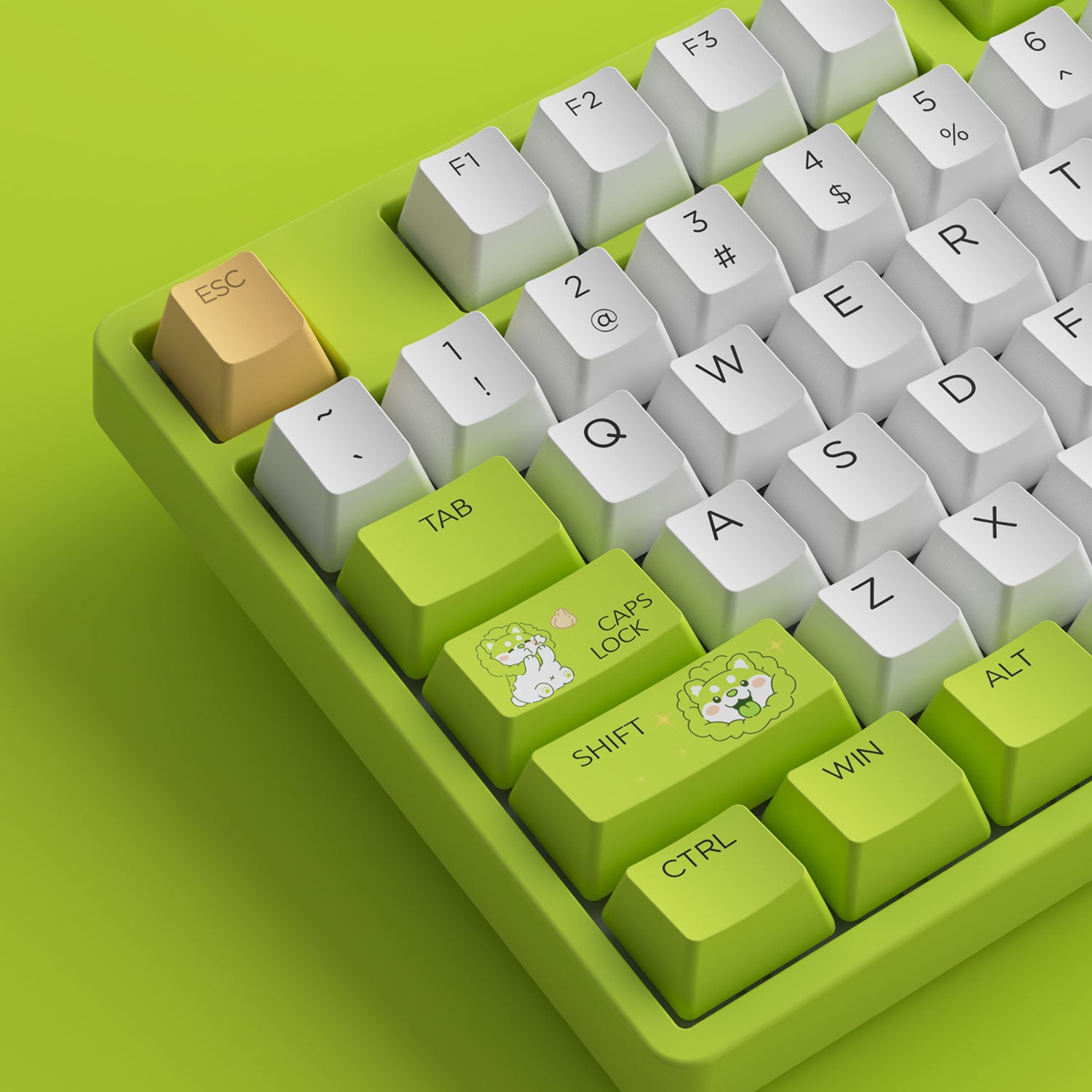 5108B-Plus-Vegetables-Dog-Details