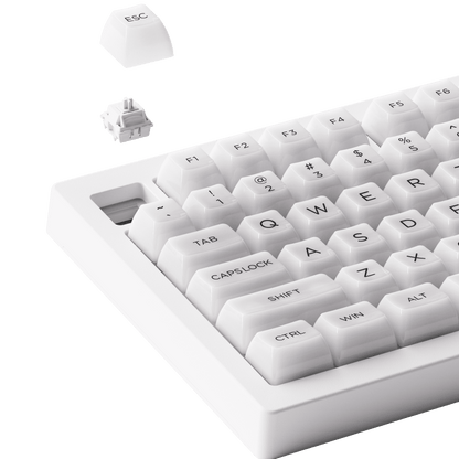Akko-5075B-Plus-ASA-Clear-Mechanical-Keyboard-hot-swappable