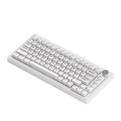 5075B Plus ASA Clear 기계식 키보드