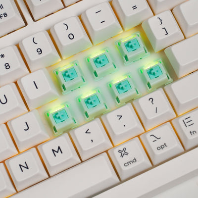 Botany Switch (Linear, Lubed)