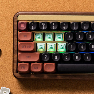 Botany Switch (Linear, Lubed)