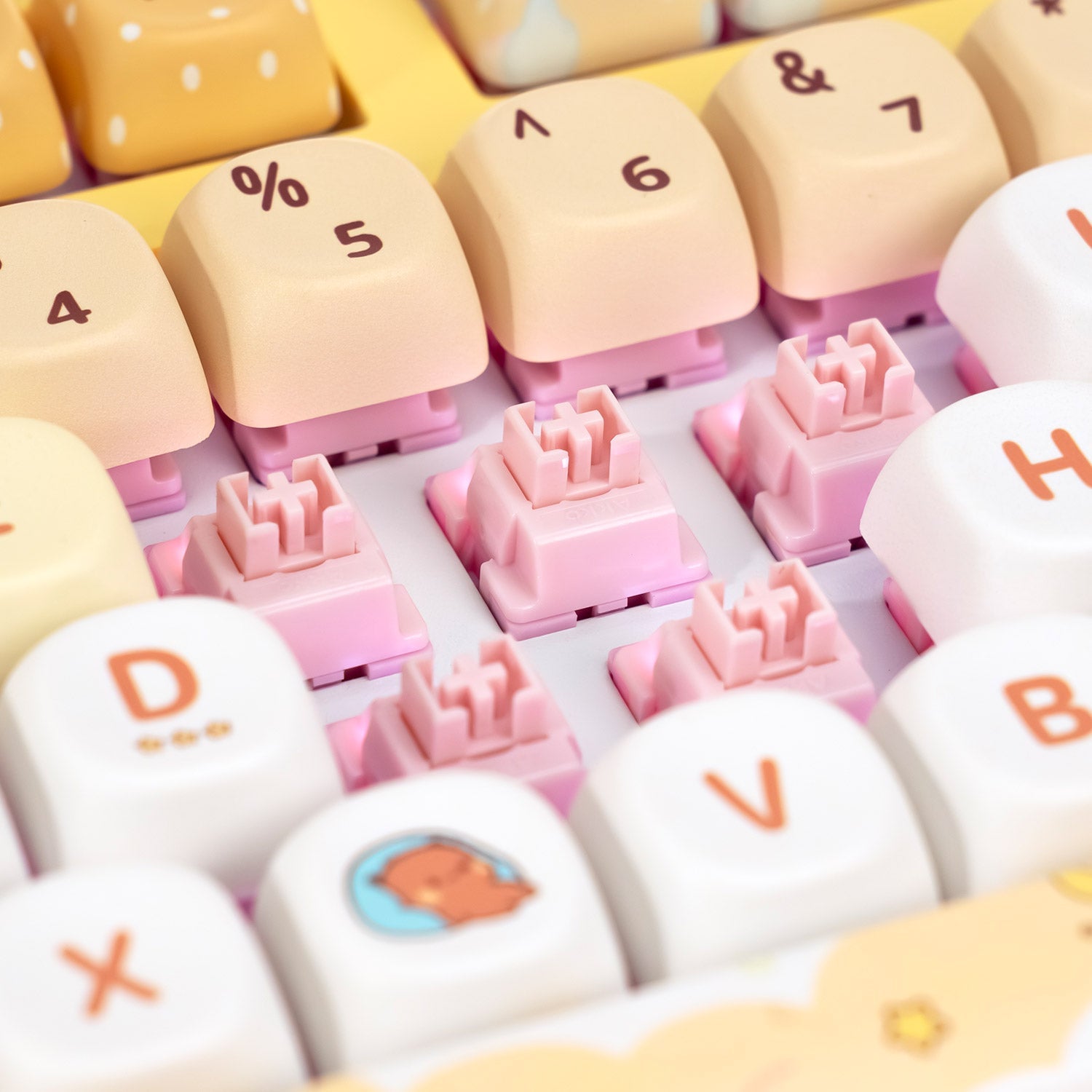 Akko Dudu and Bubu 3108v3 - Yellow Switch Details