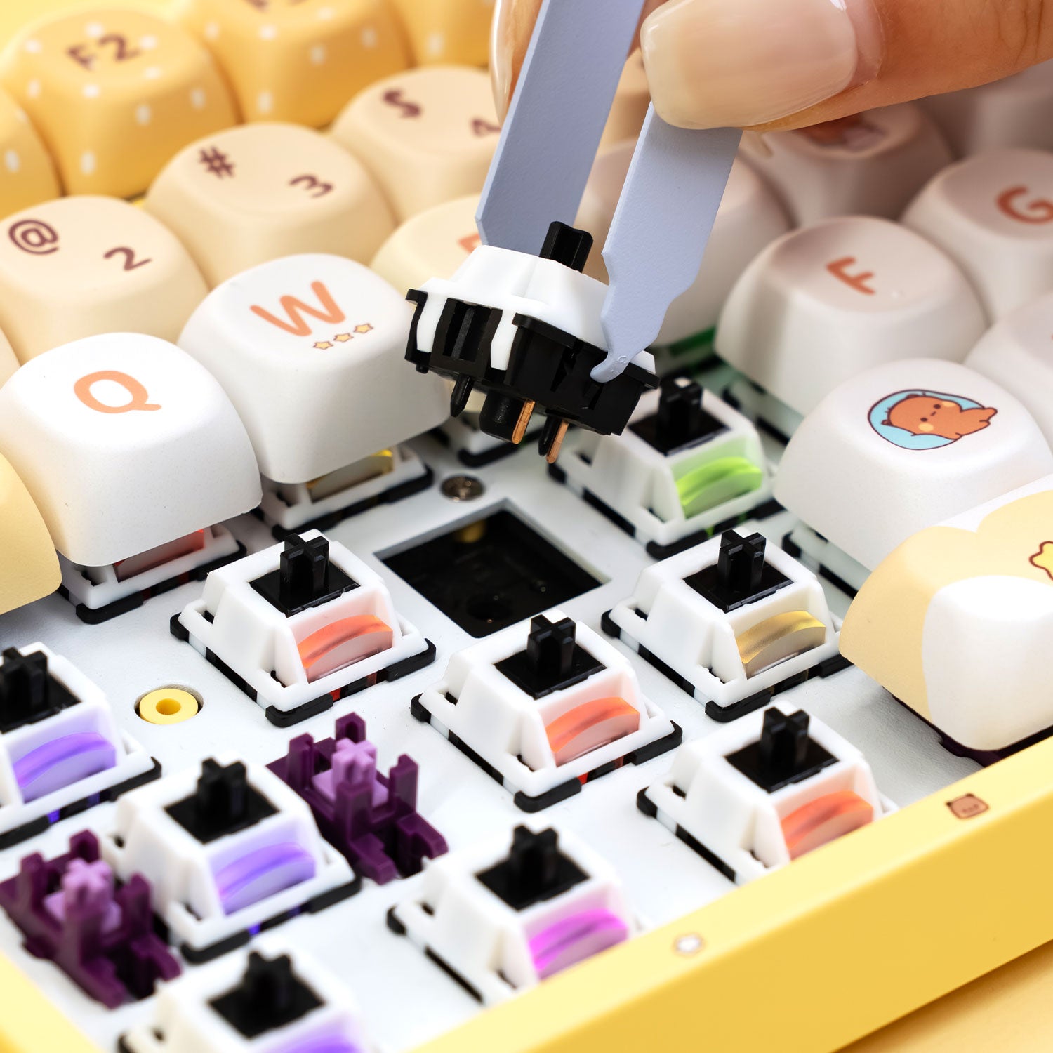 Akko-Bubu-and-Dudu-5108B-Plus-Yellow