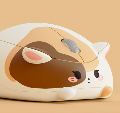 삼색 고양이 마우스