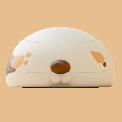 삼색 고양이 마우스