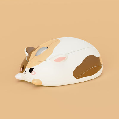 삼색 고양이 마우스