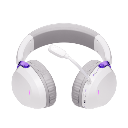 GH300 게이밍 헤드셋