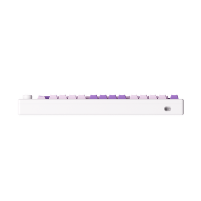 MOD 007 HE PC Purple Melody 마그네틱 키보드