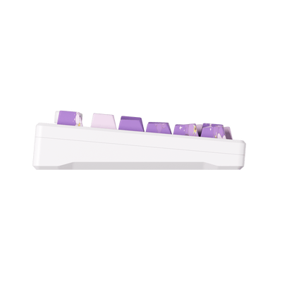 MOD 007 HE PC Purple Melody 마그네틱 키보드