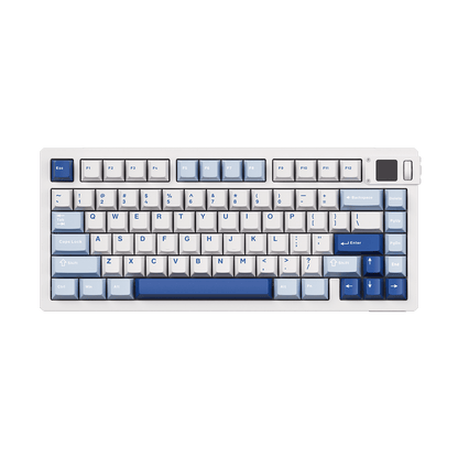 Akko MOD 007B V5 HE Blue White