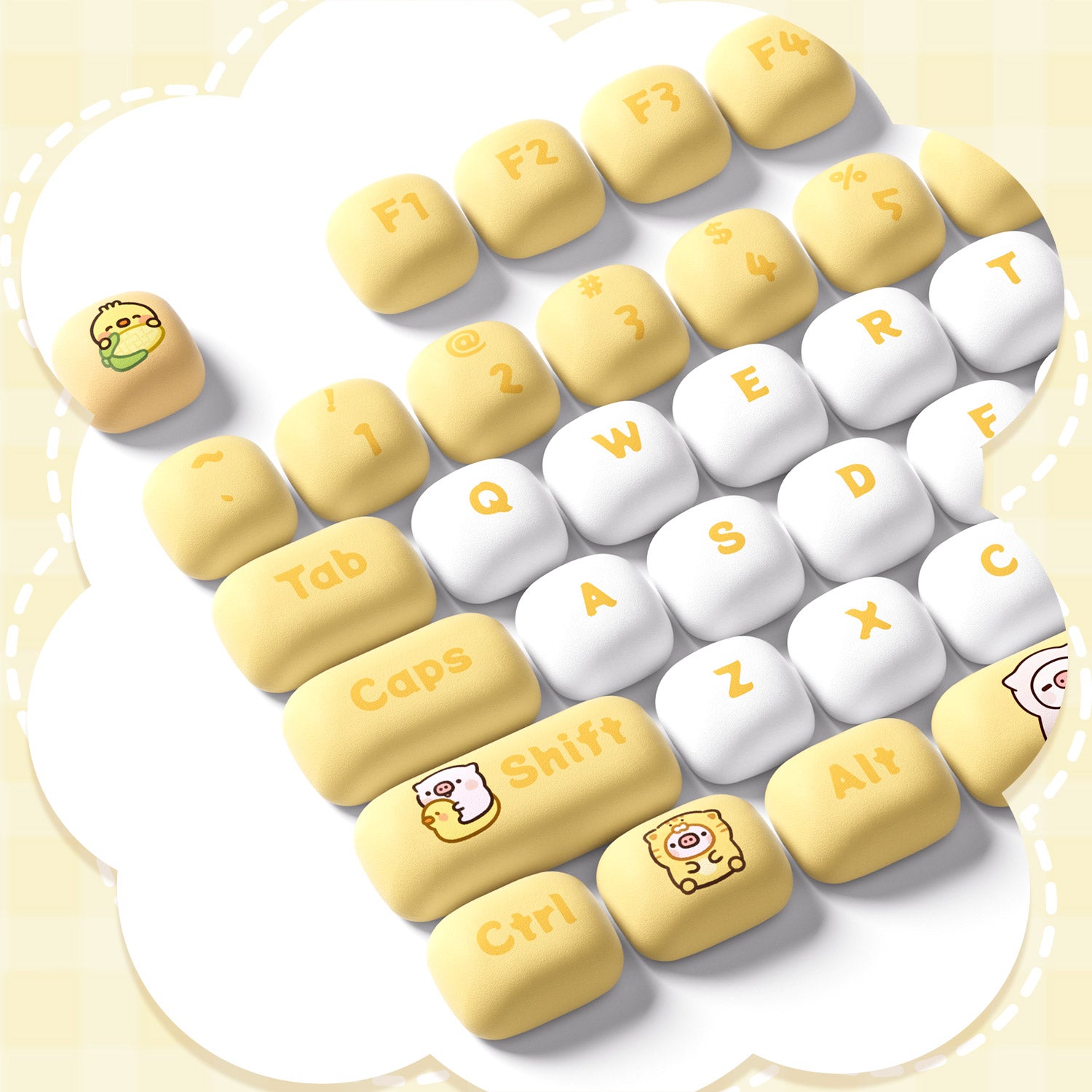 Akko-POCO-FAMILY-Detail