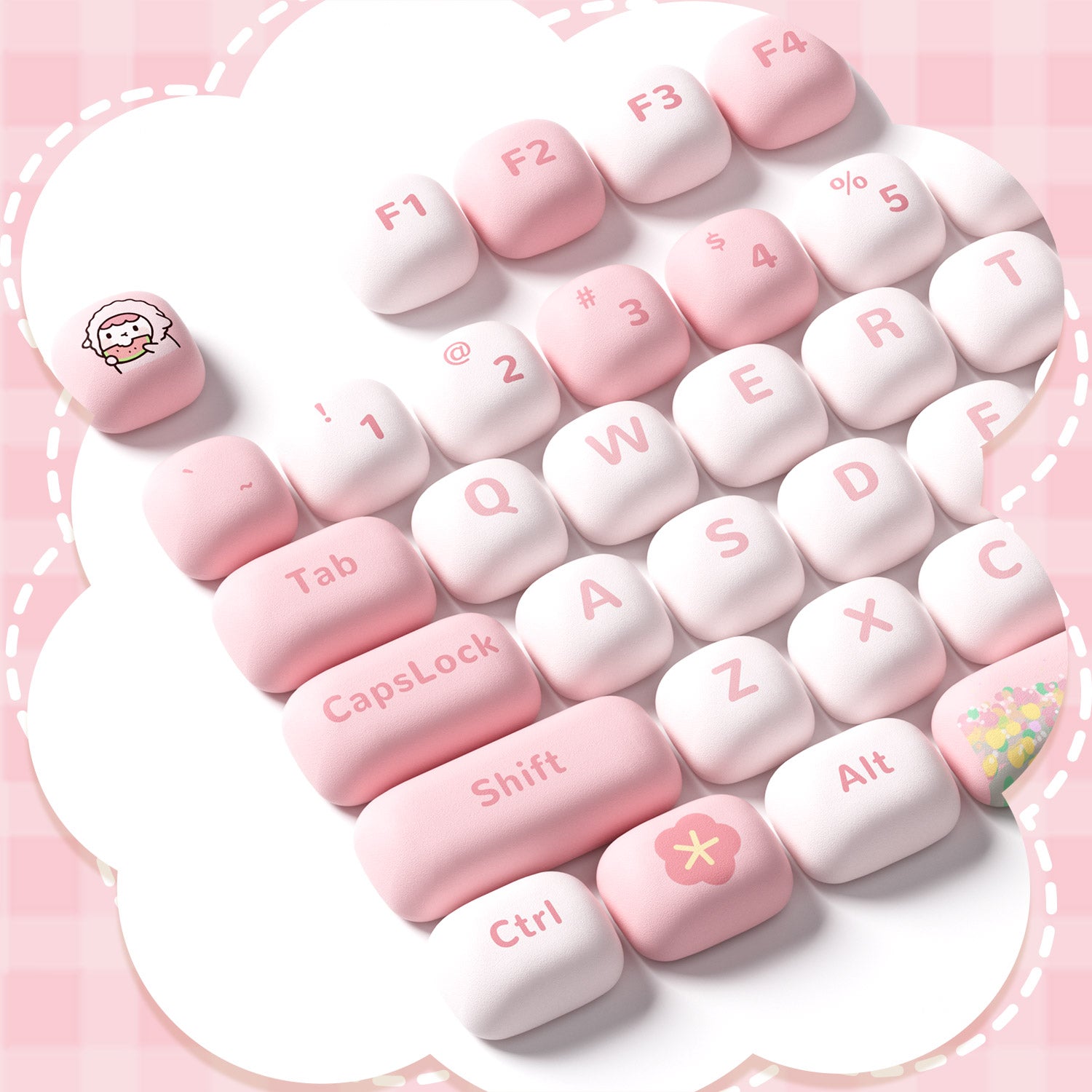 Akko-POCO-FAMILY-Detail