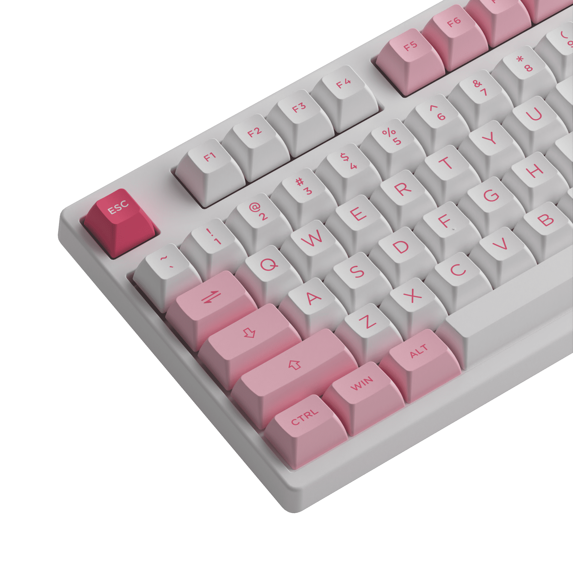 Akko-Prunus-Lannesiana-3108RF-Details