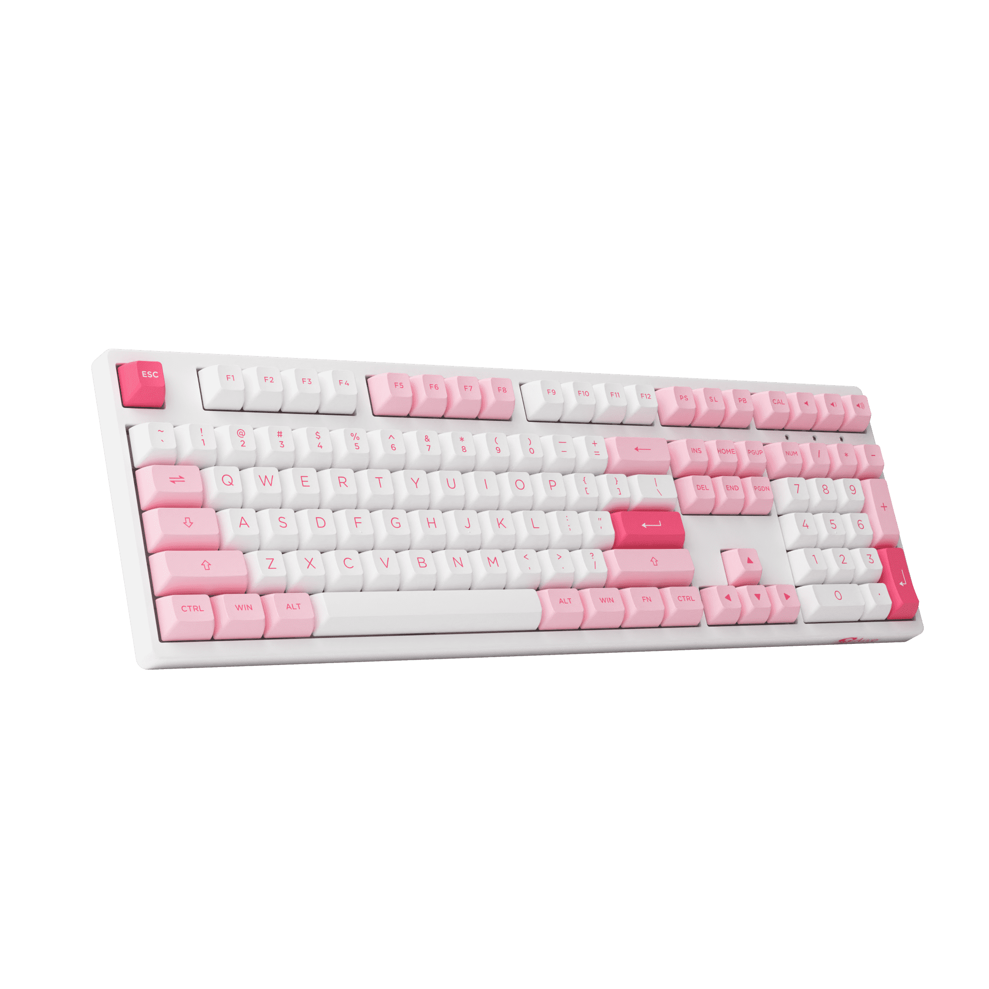 Akko-Prunus-Lannesiana-3108RF