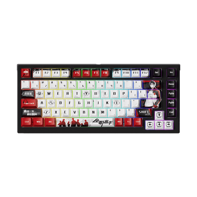 Akko-TAC75-HE-King_s-Avatar-Ye-Xiu-RGB