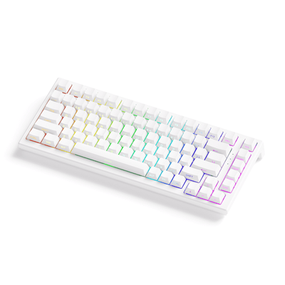 Akko-TAC75-HE-Shine-Through-White-Right-Side