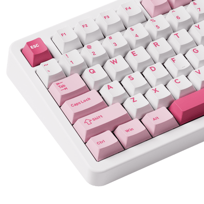 Akko TAC87 Prunus Lannesiana Mechanical Keyboard Left Details