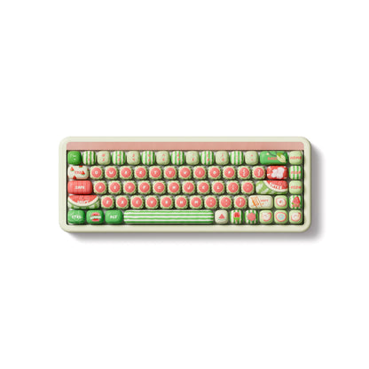 Watermelon 키캡 세트 (138 키)