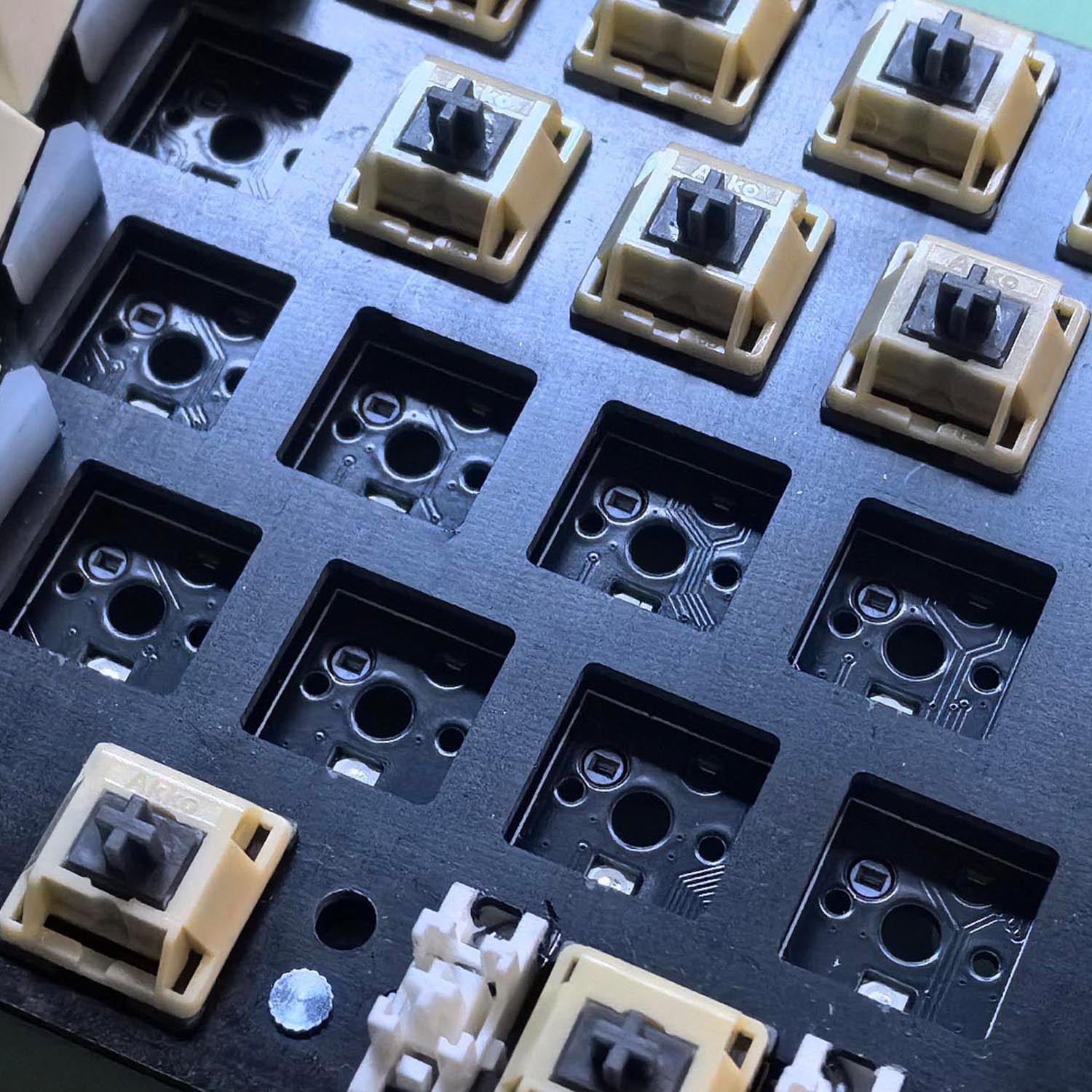 Akko-Year-of-Snake-Xuanwu