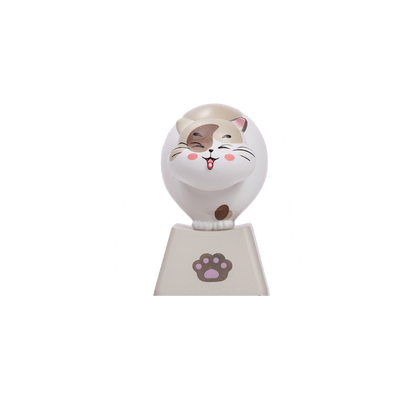 Akko-Zoom-Artisan-Keycap-SetRagdoll