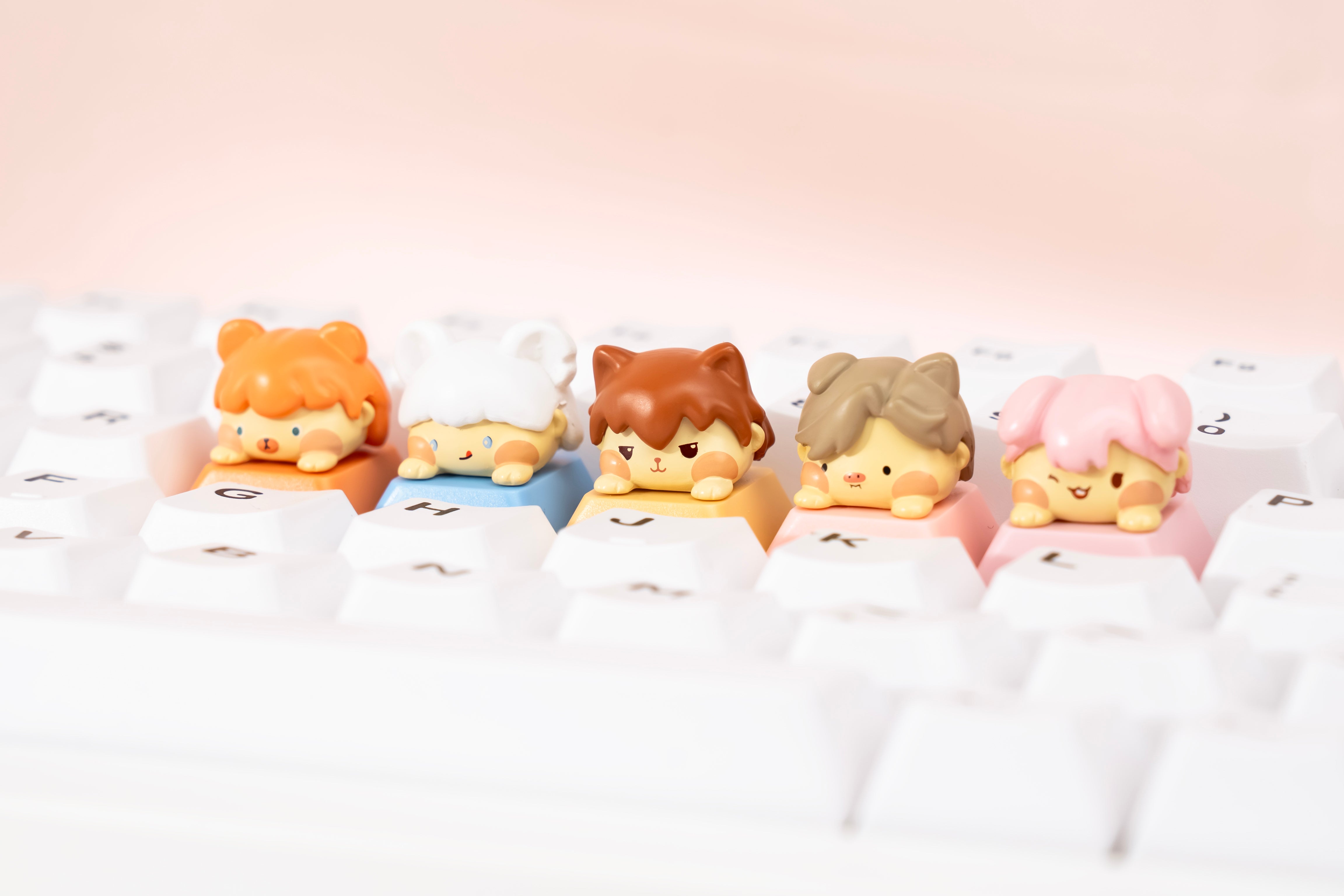 Akko artisan Animal keycaps switch tester