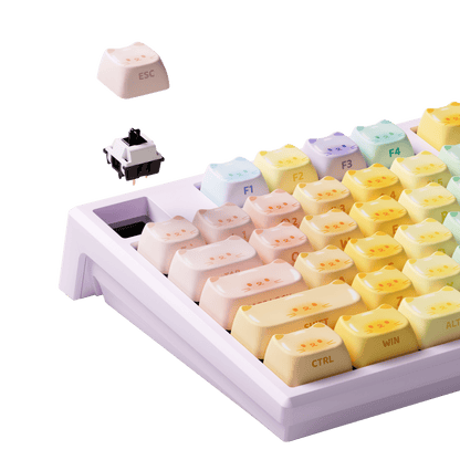 MG108B Colorful Cats 기계식 키보드